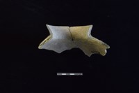 陶罐藏品圖，第2張